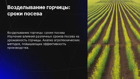 Возделывание горчицы в разные сроки посева
