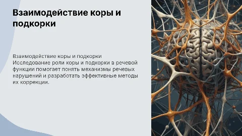 12. Взаимоотношение коры и подкорки и речевые нарушения