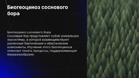 биогеоценоз соснового бора