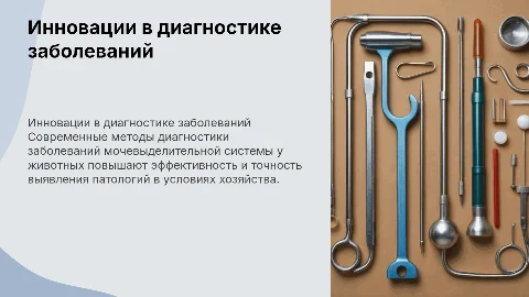 Инновационные методы диагностики заболеваний у животных