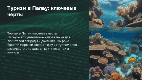 Туризм в Палау: общая характеристика и посещаемость