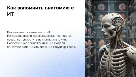 Как запомнить анатомию с помощью информационных технологий