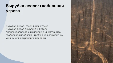 «Вырубка лесов как глобальная проблема»