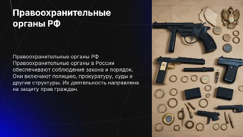 Понятие и виды правоохранительных органов РФ