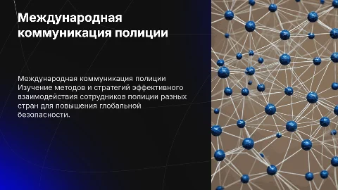Международная коммуникация сотрудников полиции
