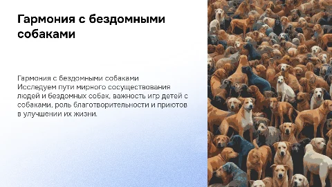 Решение проблем сосуществования людей с безнадзорными собаками