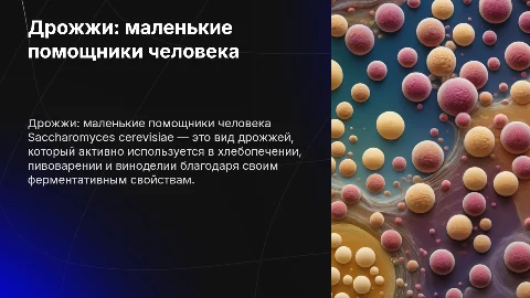 "Дрожжи: маленькие помощники человека. Saccharomyces cerevisiae"