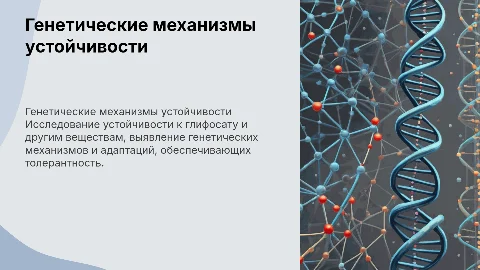 Презентация к курсовой работе о толерантности к гербицидам