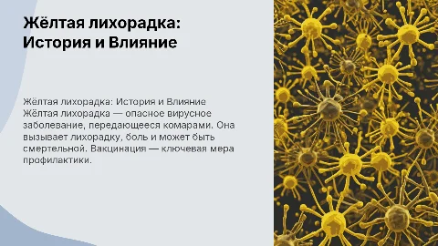 Жёлтая лихорадка
