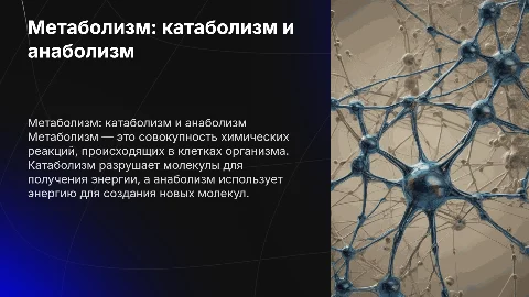 Метаболизм: катаболизм и анаболизм в биохимии