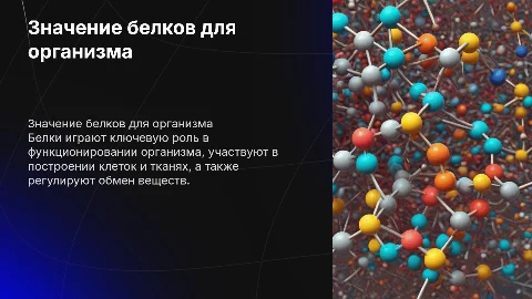 Значение белков для организма
