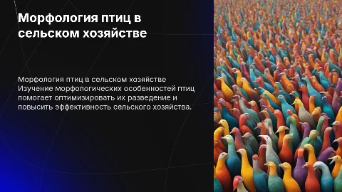 Морфологические особенности птиц сельского хозяйства