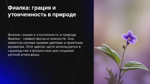 Фиалка