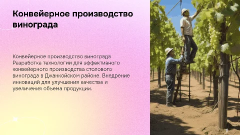 Разработка технологии конвейерного производства винограда