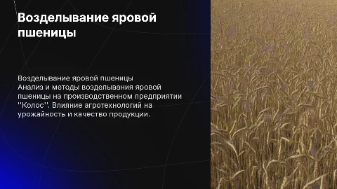 Возделывание яровой пшеницы на производстве "Колос"
