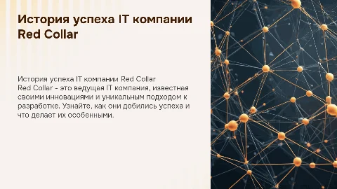 it компания Red Collar, история создания,фишки