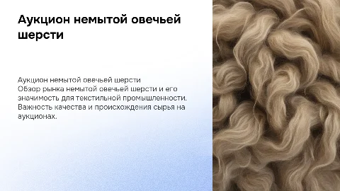 шерсть овечья не мытая аукцион
