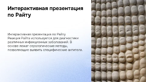 интрерактивная презентация на тему Реакция Райта
