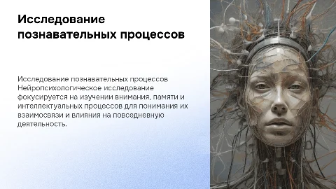 Нейропсихологическое исследование внимания и памяти