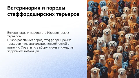 Ветеринария: породы и кормление собак стафф