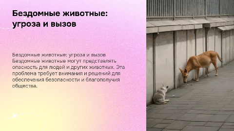 бездомные животные и их угроза жизни