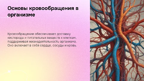 Кровообращение
