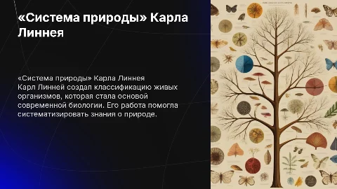 «Система природы» Карла Линнея для развития биологии