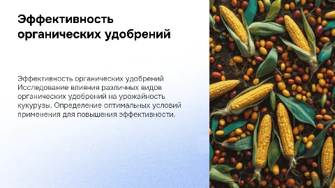 Эффективность применения органических удобрений для кукурузы
