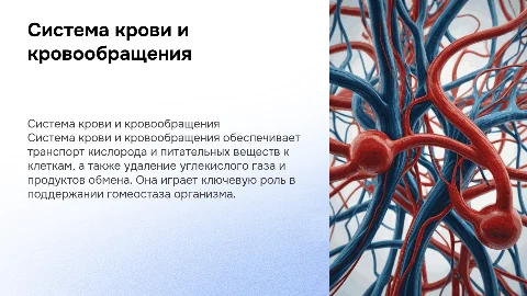 СИСТЕМА КРОВИ И КРОВООБРАЩЕНИЯ