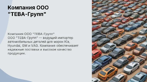 Компания ООО "ТЕВА-Групп". Импортер деталей Kia, Hyundai, GM, VAG
