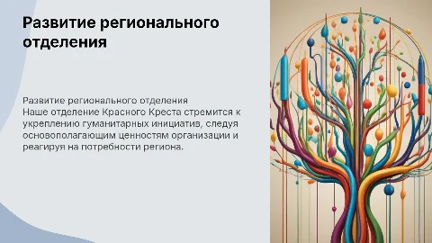 Развитие регионального отделения Красного Креста
