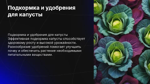 Подкормка и удобрения для капусты
