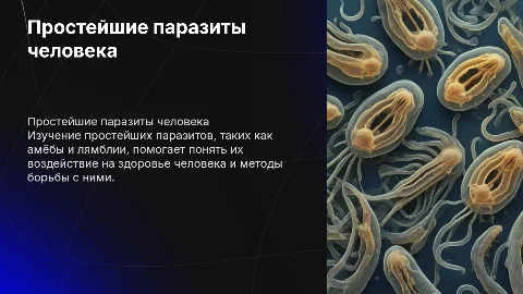 Простейшие паразиты человека