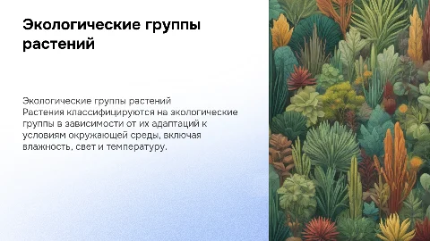 Презентация: Экологические группы растений