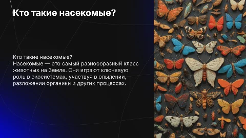 кто такие насекомые тест