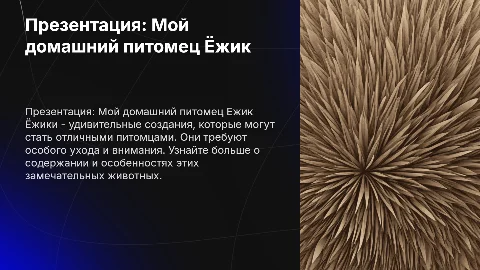 Презентация Мой домашний питомец Ёжик