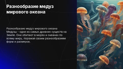 Виды медуз