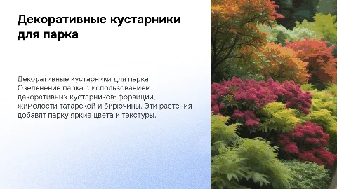 Декоративные кустарники для озеленения парка: форзиция, жимолость