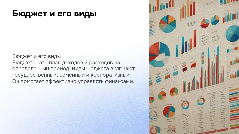 Бюджет и его виды