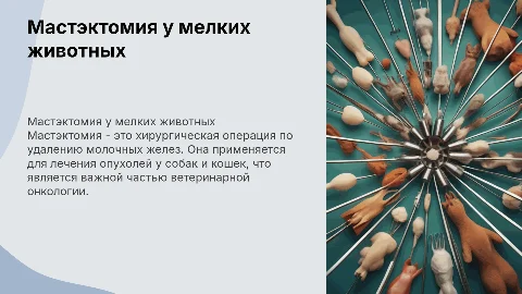 Мастэктомия в ветеринарии мелких домашних животных
