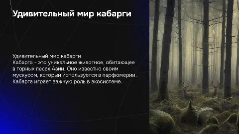 кабарга