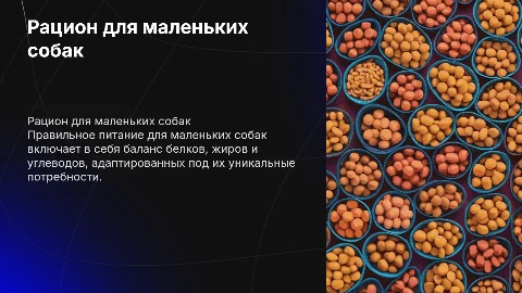 рацион для маленьких собак