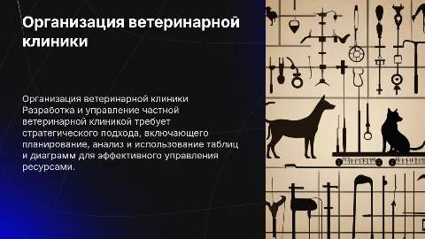 организация частной ветеринарной клиники с таблицами и диаграммами