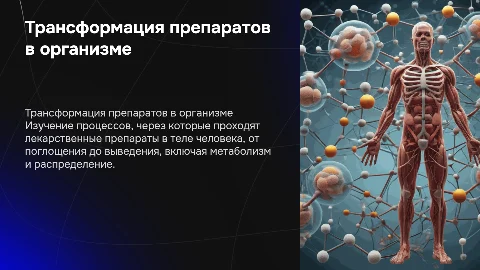 Трансформация препаратов в организме человека