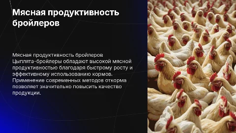 мясная продуктивность цыплят-бройлеров