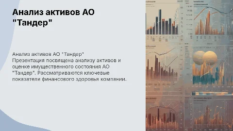 Анализ активов АО "Тандер": оценка имущественного положения