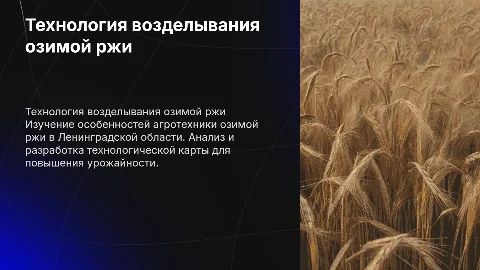 Презентация к диплому: Технология возделывания озимой ржи