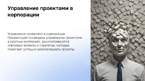 Управление проектами в компании: Презентация-проект