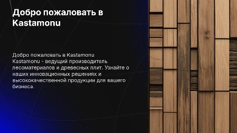 презентация компании kastamonu для нового клиента