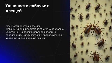 Собачий клещ